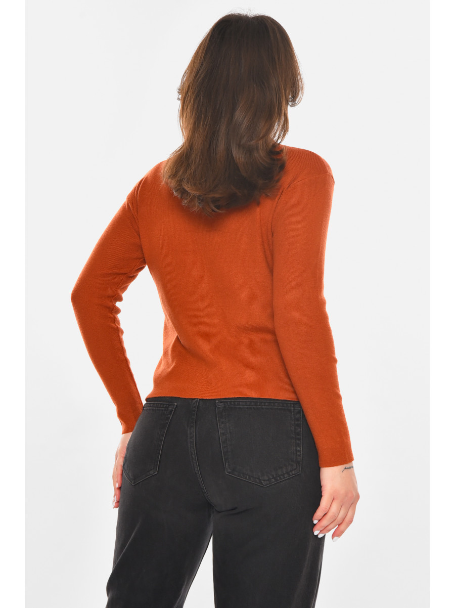 Кофта женская коричневого цвета с принтом 213811C